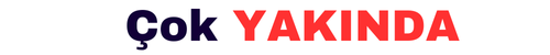 YeniBayi